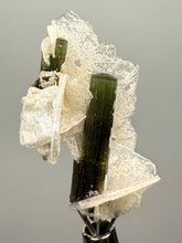 Load image into Gallery viewer, Green Cap Stak Nala Tourmaline with Cleavelandite – Haramosh Mountains, Pakistan | Thumbnail Specimen