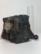 Load image into Gallery viewer, Black Druzy Petrified Wood from Indonesia