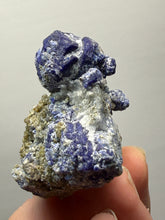 Load image into Gallery viewer, Afghanite & Lazurite on Matrix Collector Display Specimen | Badakhshan Region, Afghanistan