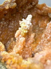 Load image into Gallery viewer, “Goblin Chalcedony” Pink & Orange Druzy Botryoidal Stalactites — Tichka Massif, High Atlas, Morocco