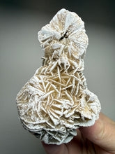 Load image into Gallery viewer, Desert Rose Selenite (Gypsum) — Mineral Display Specimen | Mexico