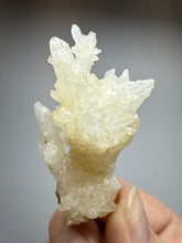 Load image into Gallery viewer, High-Grade Coral Aragonite Specimen | Wenshan Mine, Yunnan, China | Collector Mineral Display