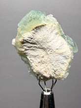Load image into Gallery viewer, Luminous Mint Apophyllite with Glittering Druzy Sugar Quartz – India