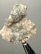 Load image into Gallery viewer, Blue-Green Chrysocolla in Botryoidal Chalcedony Cabinet Specimen | Indonesia