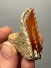 Load image into Gallery viewer, Premium Sumatra Agate (Banded Chalcedony) Display Specimen | Indonesia