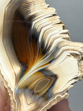 Load image into Gallery viewer, Premium Sumatra Agate (Banded Chalcedony) Display Specimen | Indonesia