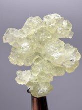Load image into Gallery viewer, Vibrant Yellow Brucite Thumbnail Mineral Specimen | Collector Crystal from Killa Saifullah District in Balochistan Province, Pakistan