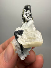 Load image into Gallery viewer, Blue and Dark Green Cap Stak Nala Tourmaline on Cleavelandite Matrix – Haramosh Mountains, Pakistan