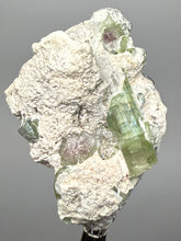 Load image into Gallery viewer, Watermelon Tourmaline on Matrix – Collector Mineral Specimen from Pakistan