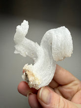 Load image into Gallery viewer, Moroccan Ram’s Horn Selenite (Gypsum) Crystal Display Specimen