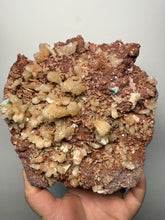 Load image into Gallery viewer, XLG Shiny Peach Stilbite and Mint Green Apophyllite on Druzy Red Heulandite – High-Grade Collector Mineral Specimen from India