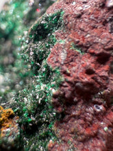 Load image into Gallery viewer, Brochantite Collector Mineral Specimen – Vivid Green Copper Crystals from Morocco