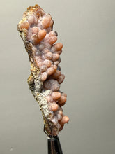 Load image into Gallery viewer, “Goblin Chalcedony” Pink and Red Druzy Botryoidal Stalactites — Tichka Massif, High Atlas, Morocco