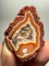 Load image into Gallery viewer, Lot of 4 Small Malawi Agate Halves – Polished Rare Colorful Collector Specimens