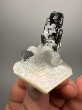 Load image into Gallery viewer, Blue and Dark Green Cap Stak Nala Tourmaline on Cleavelandite Matrix – Haramosh Mountains, Pakistan