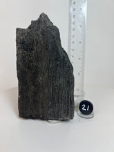 Load image into Gallery viewer, Black Druzy Petrified Wood from Indonesia