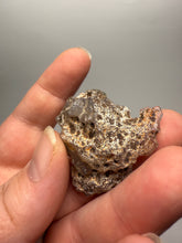 Load image into Gallery viewer, Polished Malawi Agate Half – High-Grade African Banded Agate Display Specimen
