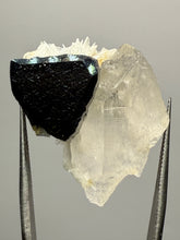 Load image into Gallery viewer, Blue Cap Dark Green Stak Nala Tourmaline and Cleavelandite – Haramosh Mountains, Pakistan | Thumbnail Specimen