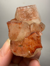 Load image into Gallery viewer, Rare Red Apophyllite Crystal Cluster – High Grade Collector Mineral Specimen | India