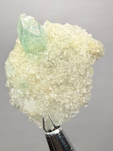 Load image into Gallery viewer, Luminous Mint Apophyllite with Glittering Druzy Sugar Quartz – India