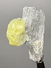 Load image into Gallery viewer, Vibrant Yellow Brucite Thumbnail Mineral Specimen | Collector Crystal from Killa Saifullah District in Balochistan Province, Pakistan
