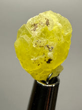 Load image into Gallery viewer, Vibrant Yellow Brucite Thumbnail Mineral Specimen | Collector Crystal from Killa Saifullah District in Balochistan Province, Pakistan