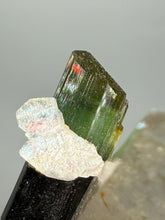 Load image into Gallery viewer, Dark Green Cap Stak Nala Tourmaline w Cleavelandite and Quartz Matrix – Haramosh Mountains, Pakistan