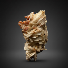 Load image into Gallery viewer, Natural Vanadinite on Matrix | Collector Mineral Specimen | Morocco