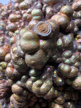 Load image into Gallery viewer, High-Grade Iridescent Botryoidal Limonite (Goethite-After-Limonite) Display Specimen | Nandan Co., Hechi, Guangxi, China