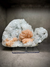 Load image into Gallery viewer, FINE MINERAL | Gem Apophyllite with Spectacular Pink Stilbite Flower | Maharashtra, India
