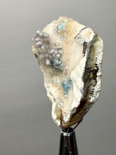 Load image into Gallery viewer, Blue-Green Chrysocolla in Botryoidal Chalcedony Cabinet Specimen | Indonesia