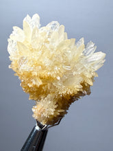 Load image into Gallery viewer, High-Grade Flower Calcite Crystal Specimen | Wenshan Mine, Yunnan, China | Collector Mineral Display