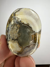 Load image into Gallery viewer, Cobra Jasper Palm Stone from India • High Grade