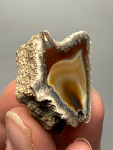 Load image into Gallery viewer, Premium Sumatra Agate (Banded Chalcedony) Display Specimen | Indonesia