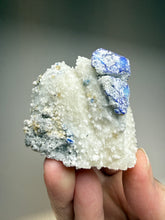 Load image into Gallery viewer, Afghan Lazurite W Afghanite Specimen | Deep Blue Lapis-Grade Crystal on Matrix | Collector Display Mineral