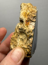 Load image into Gallery viewer, Premium Sumatra Agate (Banded Chalcedony) Display Specimen | Indonesia