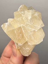 Load image into Gallery viewer, Rare Druzy Golden “Diamond” Calcite on Zeolite Matrix — Maharashtra, India | Collector Cabinet Specimen