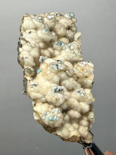 Load image into Gallery viewer, Blue-Green Chrysocolla in Botryoidal Chalcedony Cabinet Specimen | Indonesia