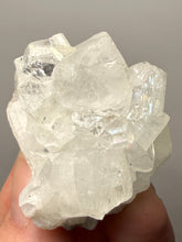 Load image into Gallery viewer, Gemmy Clear Apophyllite Cluster (Zeolite) | Maharashtra, India | Collector Display Specimen