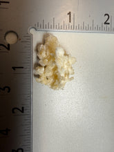 Load image into Gallery viewer, High-Grade Coral Aragonite Crystal Specimen – Wenshan Mine, Yunnan, China