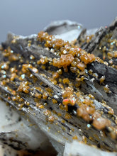 Load image into Gallery viewer, Natural Vanadinite on Matrix | Collector Mineral Specimen | Morocco