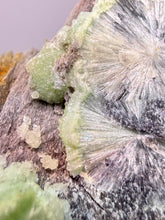 Load image into Gallery viewer, High-Grade Green Wavellite Collectors Specimen - Radiating Botryoidal Crystal Formation - Arkansas, USA