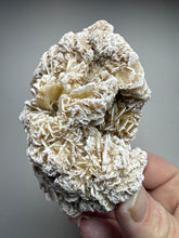 Load image into Gallery viewer, Desert Rose Selenite (Gypsum) — Mineral Display Specimen | Mexico