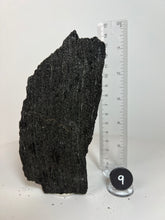 Load image into Gallery viewer, Black Druzy Petrified Wood from Indonesia