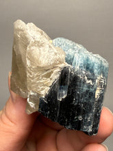 Load image into Gallery viewer, Blue Cap Tourmaline on Quartz Specimen – Pakistan