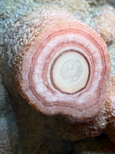 Load image into Gallery viewer, Rhodochrosite Free Form Collector Mineral Display Specimen — Argentina