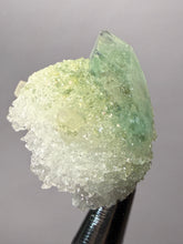 Load image into Gallery viewer, Luminous Mint Apophyllite with Glittering Druzy Sugar Quartz – India