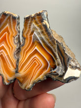 Load image into Gallery viewer, High-Grade Indonesian Sumatra Agate Pair – Vibrant Banded Chalcedony with Rich Color Zoning | Ethical Lapidary & Collector Display Specimens