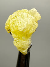Load image into Gallery viewer, Vibrant Yellow Brucite Thumbnail Mineral Specimen | Collector Crystal from Killa Saifullah District in Balochistan Province, Pakistan