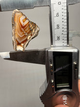 Load image into Gallery viewer, High-Grade Indonesian Sumatra Agate Pair – Vibrant Banded Chalcedony with Rich Color Zoning | Ethical Lapidary & Collector Display Specimens